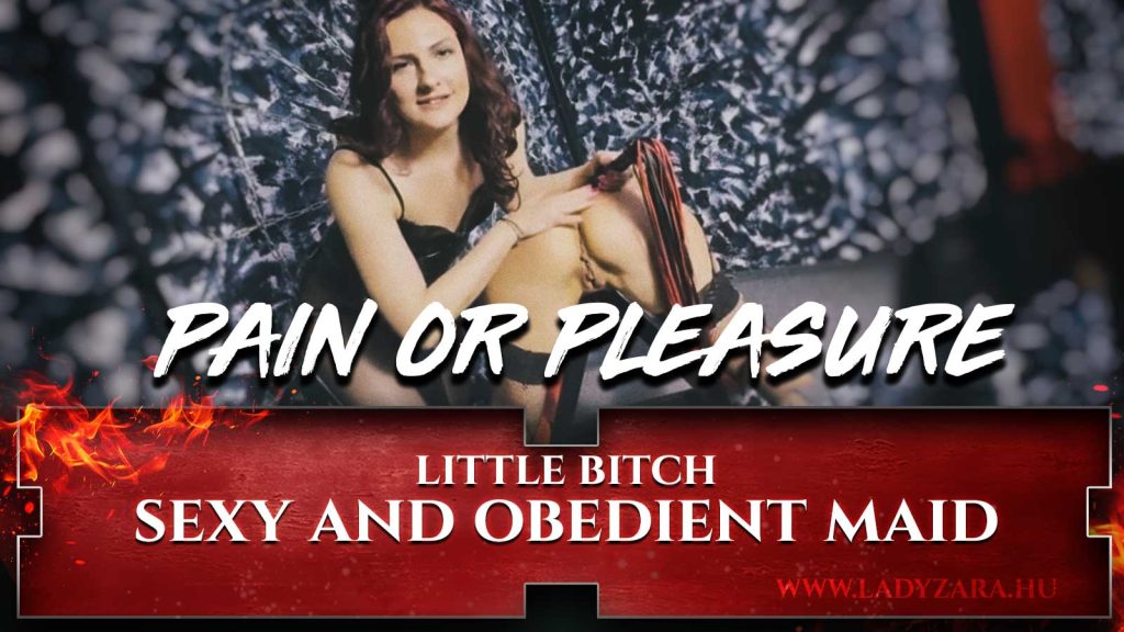 pain or pleasure sexy and obedient maid little bitch lady zara dominatrix domina